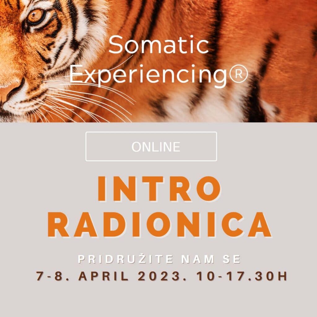 Somatic Experiencing – Intro radionica (vodi: Kavi Gemin)