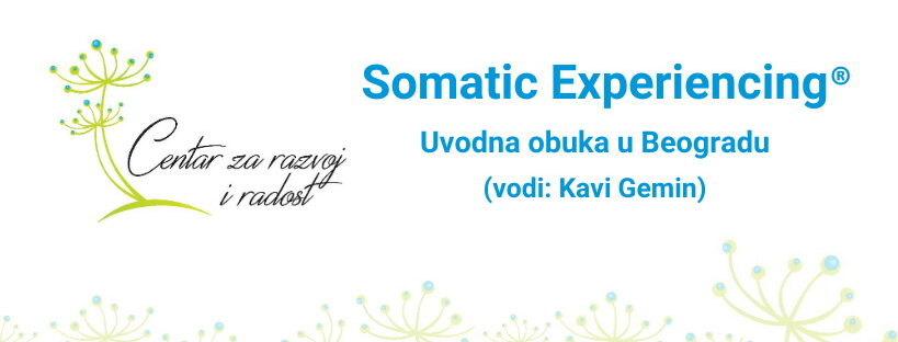 Somatic Experiencing – Uvodna obuka u Beogradu (vodi: Kavi Gemin)